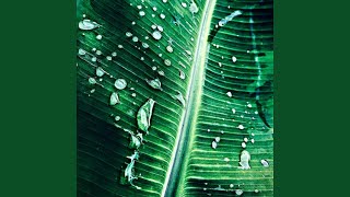 Download Lagu Amor (H.Mess Remix) MP3