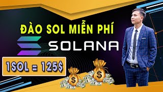 Đào SOL miễn phí có giá 125$ rút về tất cả các ví | Web đào SOLANA uy tín