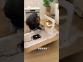 #家具 #熱門 #摺疊桌