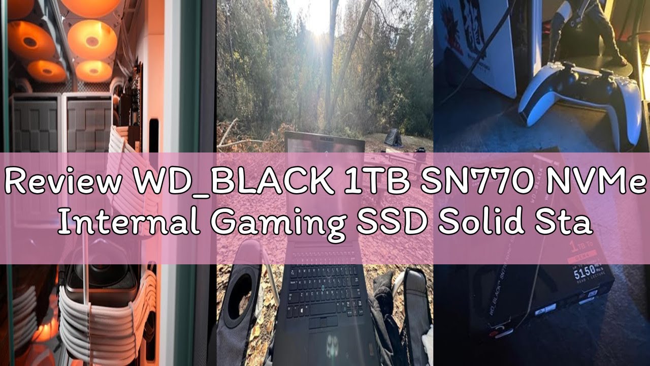 Review WD_BLACK 1TB SN770 NVMe Internal Gaming SSD Solid State Drive - Gen4 PCIe, M.2 2280, Up to 5,