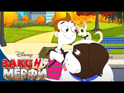 Закон Мёрфи - Сезон 2 серия 10 | мультфильм Disney