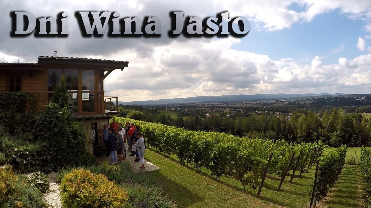 Dni Wina Jasło 2017 (#16)