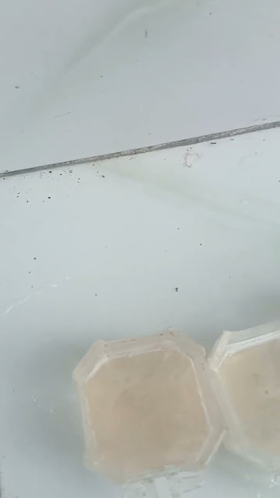 setiap habis jemur taruh tempat yg sejuk trus kasih doping . #kicaumania #pleciisian