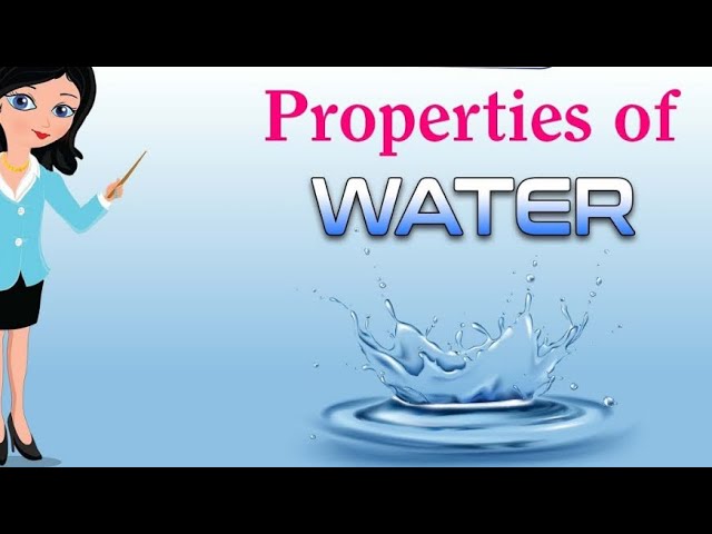 Water Saving Tips And Tricks - Let'S Save The Planet - The Environment For  Kids - Youtube