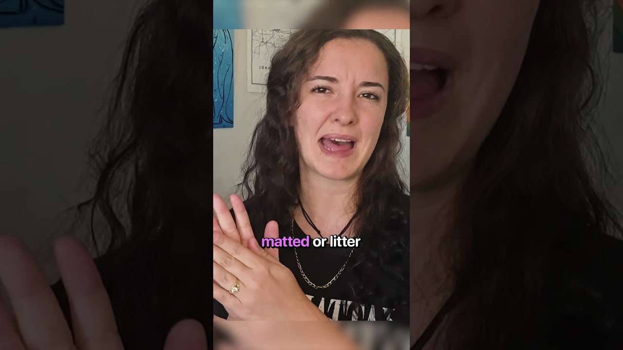 Cat Grooming Mistakes to AVOID! 😾⚠️