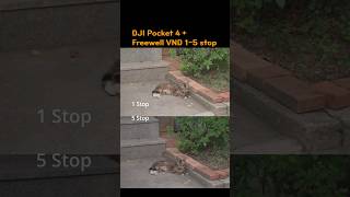 Dji Pocket 4 with Freewell VND 1-5 stop filter Comparison Video #ndfilter