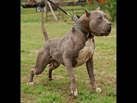 ⁣Lil Wayne Mercy (Feat. Nicki Minaj) Dedication 4