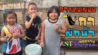 การทดลอง กาลักน้ำ | ANT Slurpee