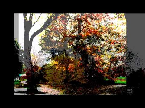 Rob Wanders - Dream letter (Tim Buckley)