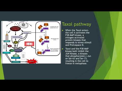 Video: Paclitaxel - Käyttöohjeet, Arvostelut, Hinta, Sivuvaikutukset