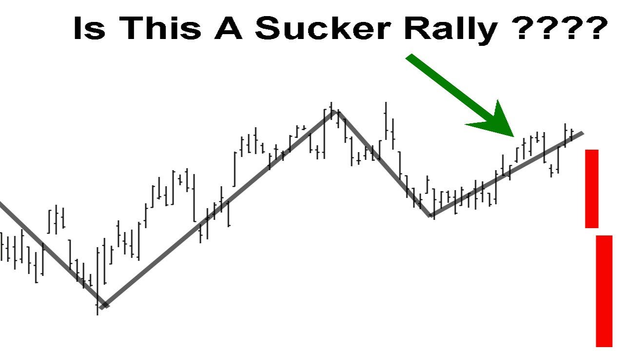 Is This A Sucker Rally ??????? - YouTube
