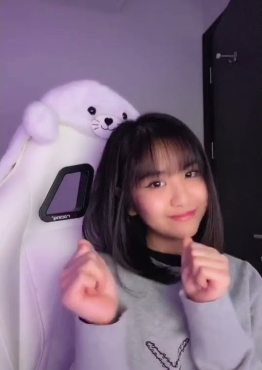 || TikTok BTR ALICE COCOK BUAT STORY WA PARA JOMBLO ||             #tiktok   #btr    #alice   #pubg