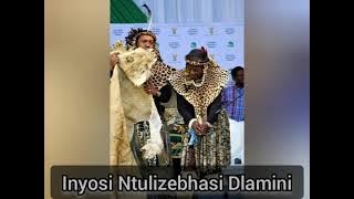 Izibongo ZikaMntwana eBongwa iNyosi uDlamini Ntulizebhasi