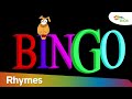 Bingo Dog Song  Plus More Nursery Rhymes Collection | Shemaroo Kids