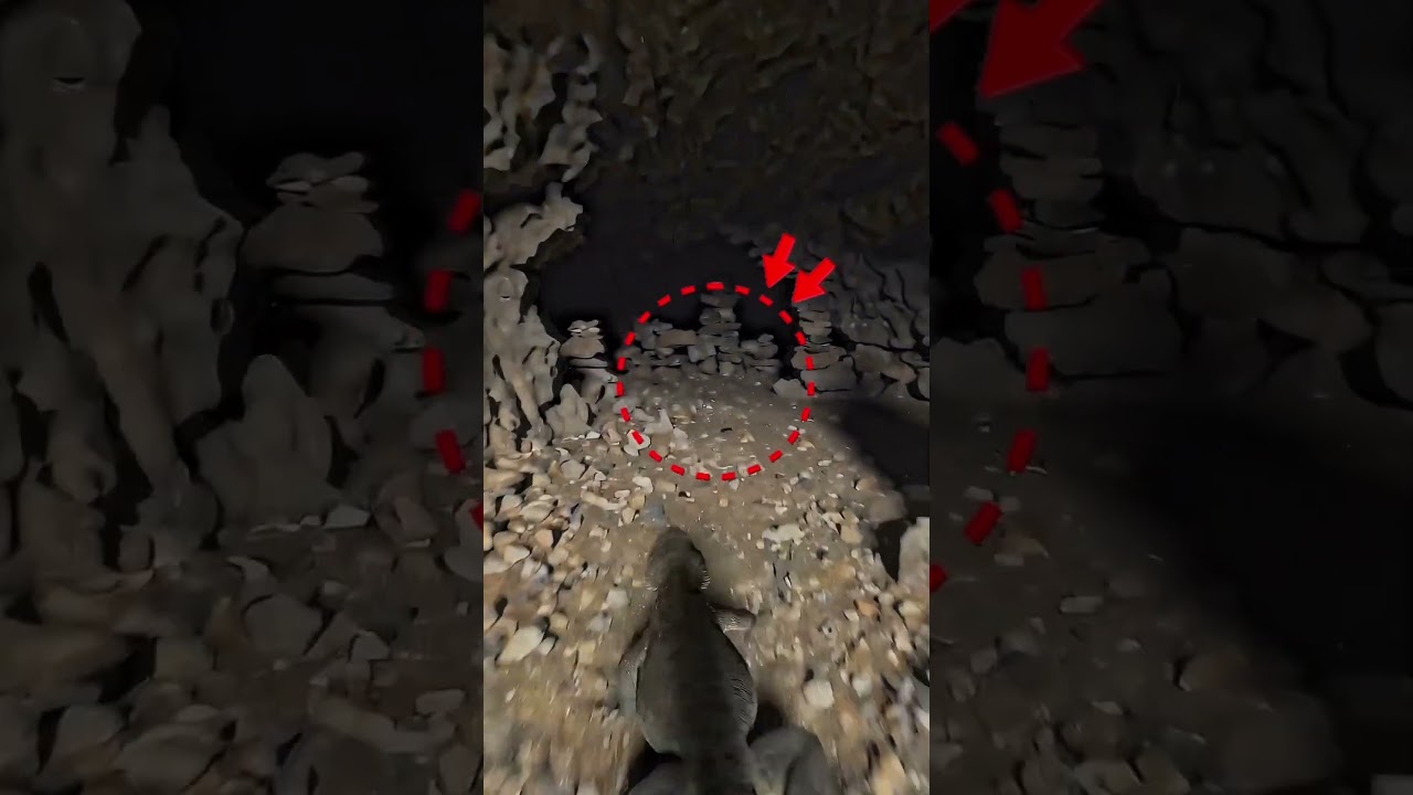 Desert Lizard Escapes a Scorpion Cave | Lizard POV Wildlife Documentary #documentary