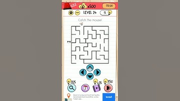 Catch the mouse! brain test walkthrough level 24