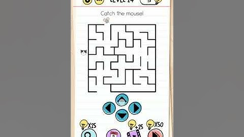 Catch the mouse! brain test walkthrough level 24