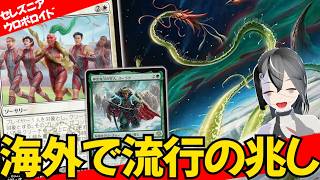 【MTGArena】急な二段攻撃と全体パンプで盤面ゲーム完全崩壊！！白緑ミッドレンジが今強い！！【ストリクスヘイヴンの秘密】【スタンダード】