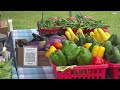 A parasite is spreading through fresh produce; here's how to lower your risk