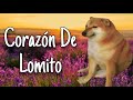 Corazón De Lomito