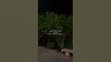 عبدالرحمن مسعد | سورة الفتح