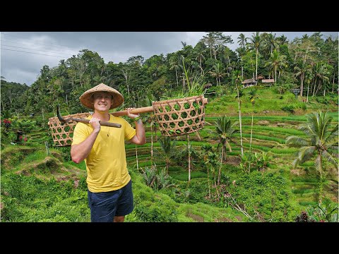 UBUD : LA PLUS BELLE VILLE DE BALI ! (J’ai change de métier au passage)