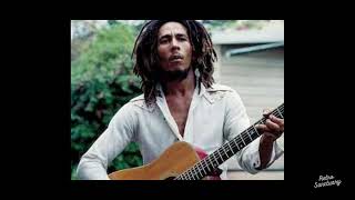 Bob Marley & The Wailers - Burning and Looting