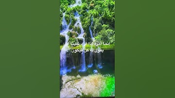 #قران_حالات_واتس #explore #القرآن_الكريم #سورة_يس #قرآن #محمد_صديق_المنشاوي #قران_بصوت_جميل