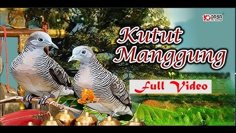 KUTUT MANGGUNG AGAWE SENTOSA { Video Full }#dasastudio