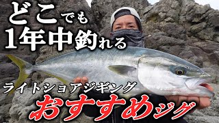 【超解説】青物狙いのライトショアジギングにおすすめなメタルジグ・使い分け