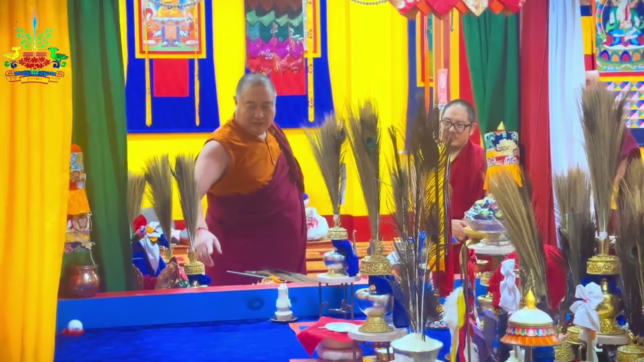 The Detailed Insight Behind the Successful Daily Terdzo Empowerment