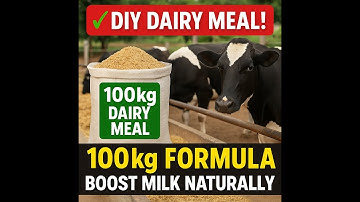 How to make 100 kg Dairy Meal At Home- Boost Milk Production Naturally#animalfeed #tips