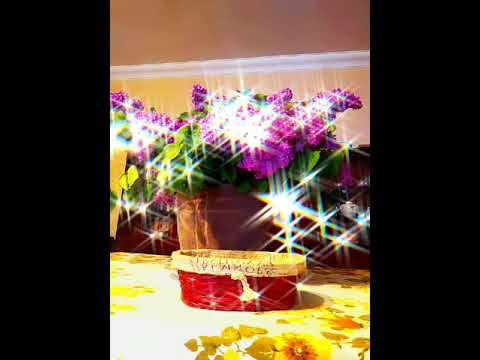 17 სექტემბერი, 2021