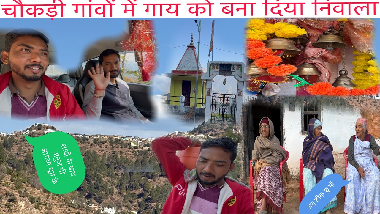 ||चौकड़ी गांवों में एक गाय को बना दिया निवाला😱||दादी का भी स्वास्थ्य अब ठीक है||