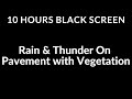 10 Hours Black Screen Rain with Thunder on Vegetation Pavement Sound For Sleeping