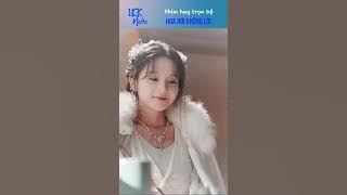 Trọn Bộ Hoa Rơi Không Lời | Chân thành vốn dĩ lặng lẽ, như cánh hoa rơi chẳng cần ai tán dương