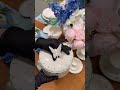 🦋Коллекция Colourful Spring с весенним декором на белоснежном фарфоре высочайшего качества.