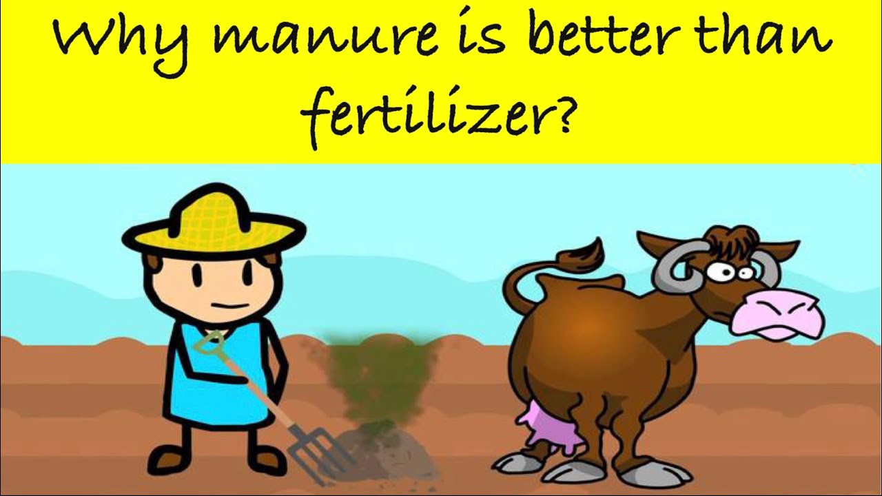 Why Manure Is Better Than Fertilizer neet science sciencefacts why-manure-is-better-than-fertilizer-neet-science-sciencefacts