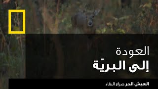 العيش الحر: صراع البقاء | ناشونال جيوغرافيك أبوظبي