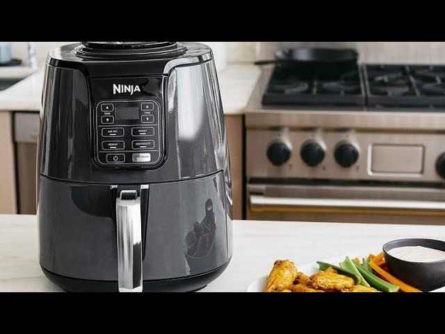 2023 5.5qt Ninja Air Fryer MAX XL with EZview First Look & Cook