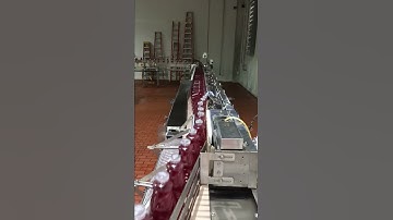 Sentry Lay Down Cap Sterilizer