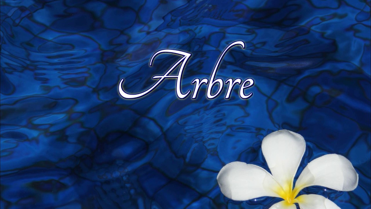 How to pronounce arbre in French motorcycles for sale