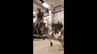 2019 Dynamic locomotion synchronization of bipedal robot and human operator via bilateral feedb... 4