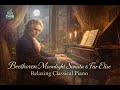 Beethoven Moonlight Sonata &amp; Für Elise – Relaxing Classical Piano for Study &amp; Sleep