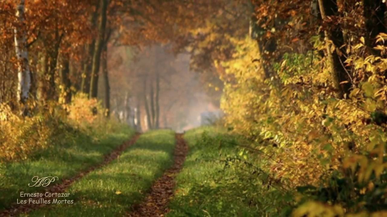 ERNESTO CORTAZAR - Les Feuilles Mortes (Autumn Leaves) - YouTube