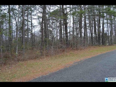 9028 COUNTRY CREEK RD, Dora, AL home video tour