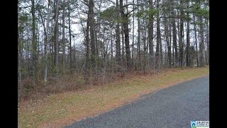 Homes for sale - 9028 COUNTRY CREEK RD, DORA, AL 35062