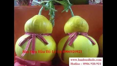 Bưởi Hồ Lô - Quà Tết Độc Đáo Ý Nghĩa Tâm Linh Cao