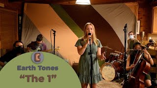 Earth Tones - The 1 (Taylor Swift Cover)