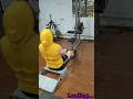 Путь трансформации 16/500 #gym #sports #powerlifting